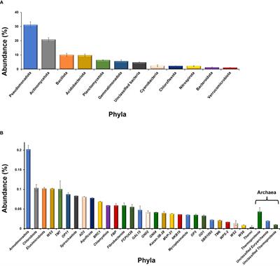 Prokaryotic diversity and community structure in the rhizosphere of Lantana weed (Lantana camara L.)